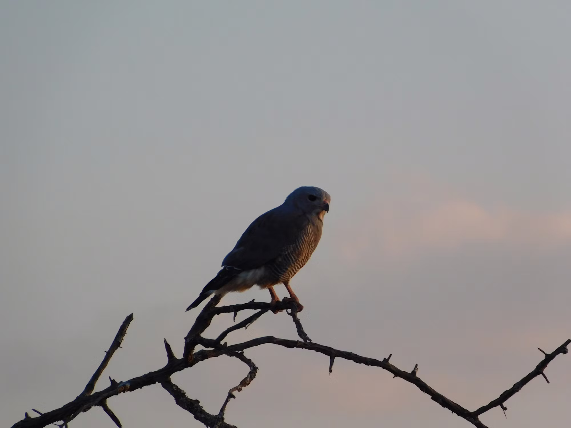 The Evolution of Esports: From Casual Competition to Global Phenomenon